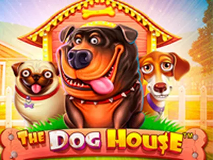 20bet casino login
