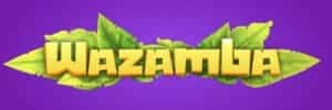 Zamora fc