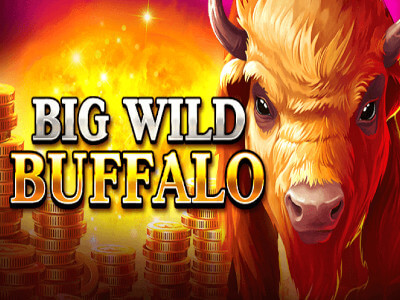 Como funciona o jogo blaze